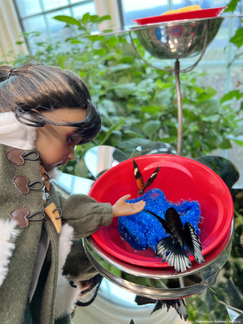 Джой в Hershey — Куклы Ruby Red (Руби Ред) Fashion Friends: Siblies