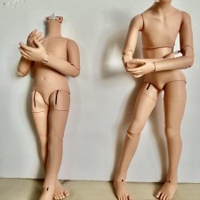 Кому достанутся тела?