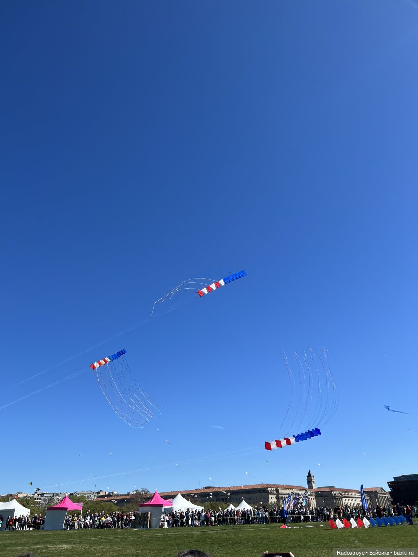 Аврил и цветение сакуры — Куклы Ruby Red (Руби Ред) Fashion Friends: Siblies