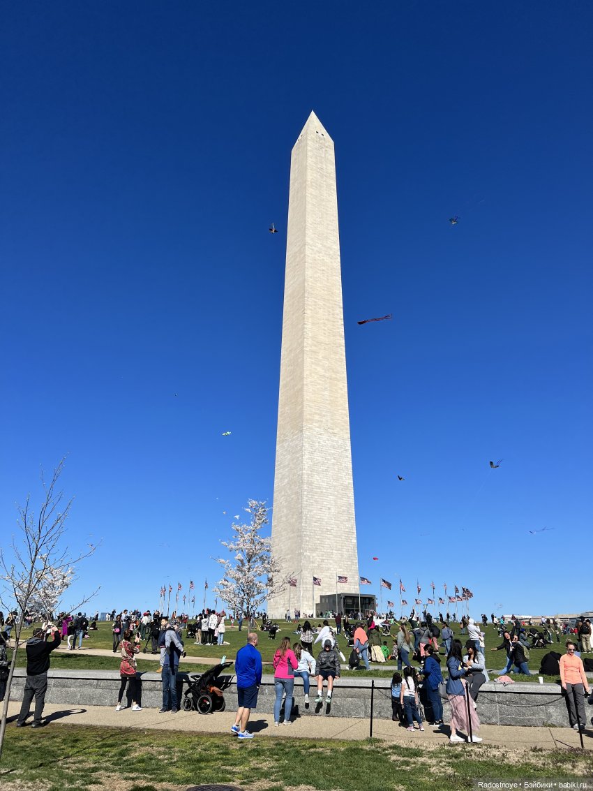 Аврил и цветение сакуры — Куклы Ruby Red (Руби Ред) Fashion Friends: Siblies