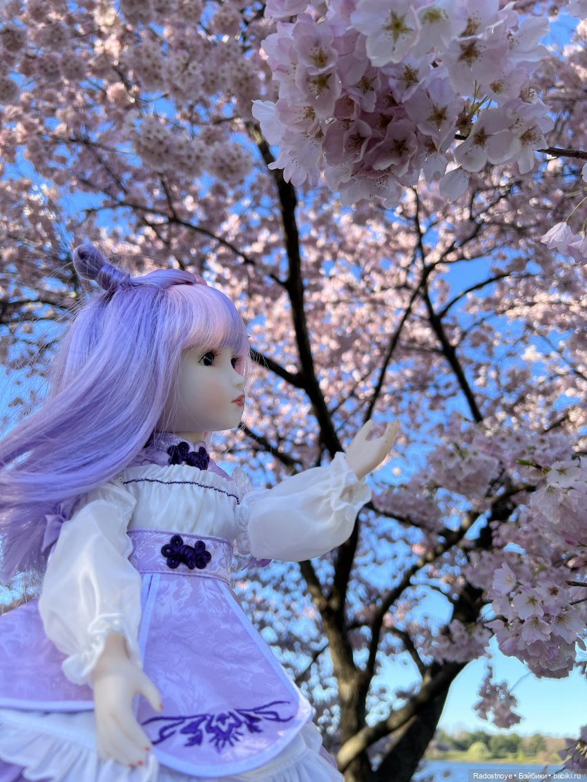 Аврил и цветение сакуры — Куклы Ruby Red (Руби Ред) Fashion Friends: Siblies (фото 2)