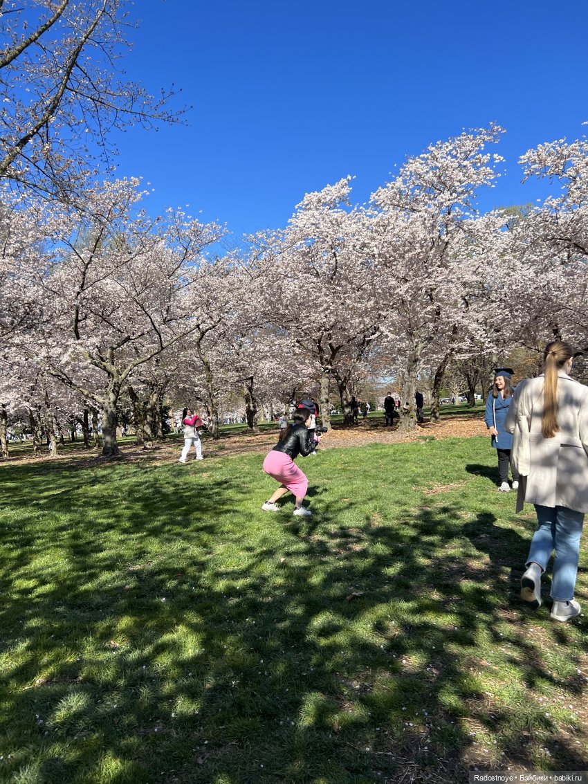 Аврил и цветение сакуры — Куклы Ruby Red (Руби Ред) Fashion Friends: Siblies