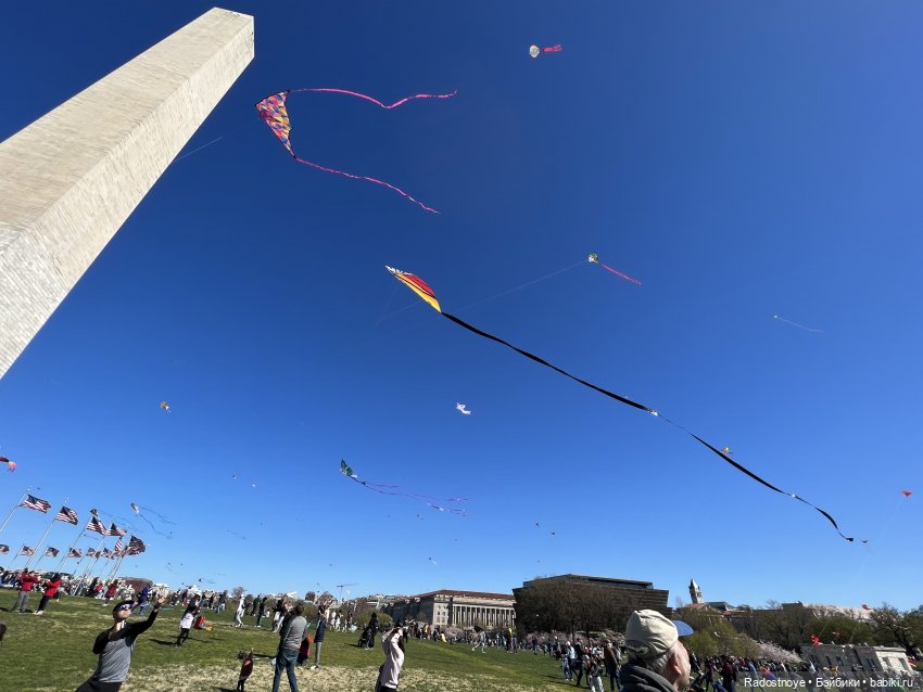 Аврил и цветение сакуры — Куклы Ruby Red (Руби Ред) Fashion Friends: Siblies