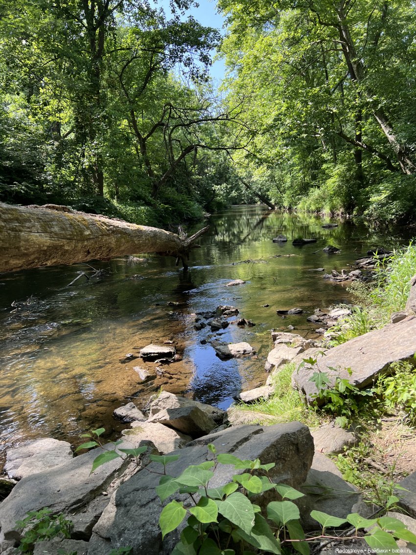 Мэйзи зря время не тратит (фото 2)
