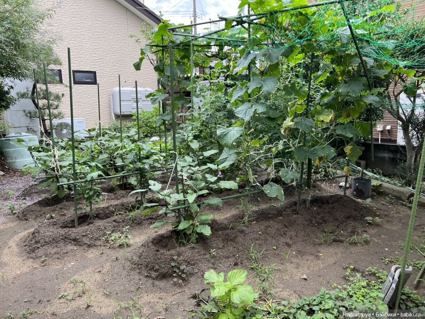 Удивительные открытия — Интересное и необычное: фотоподборки