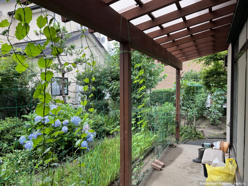 Удивительные открытия — Интересное и необычное: фотоподборки