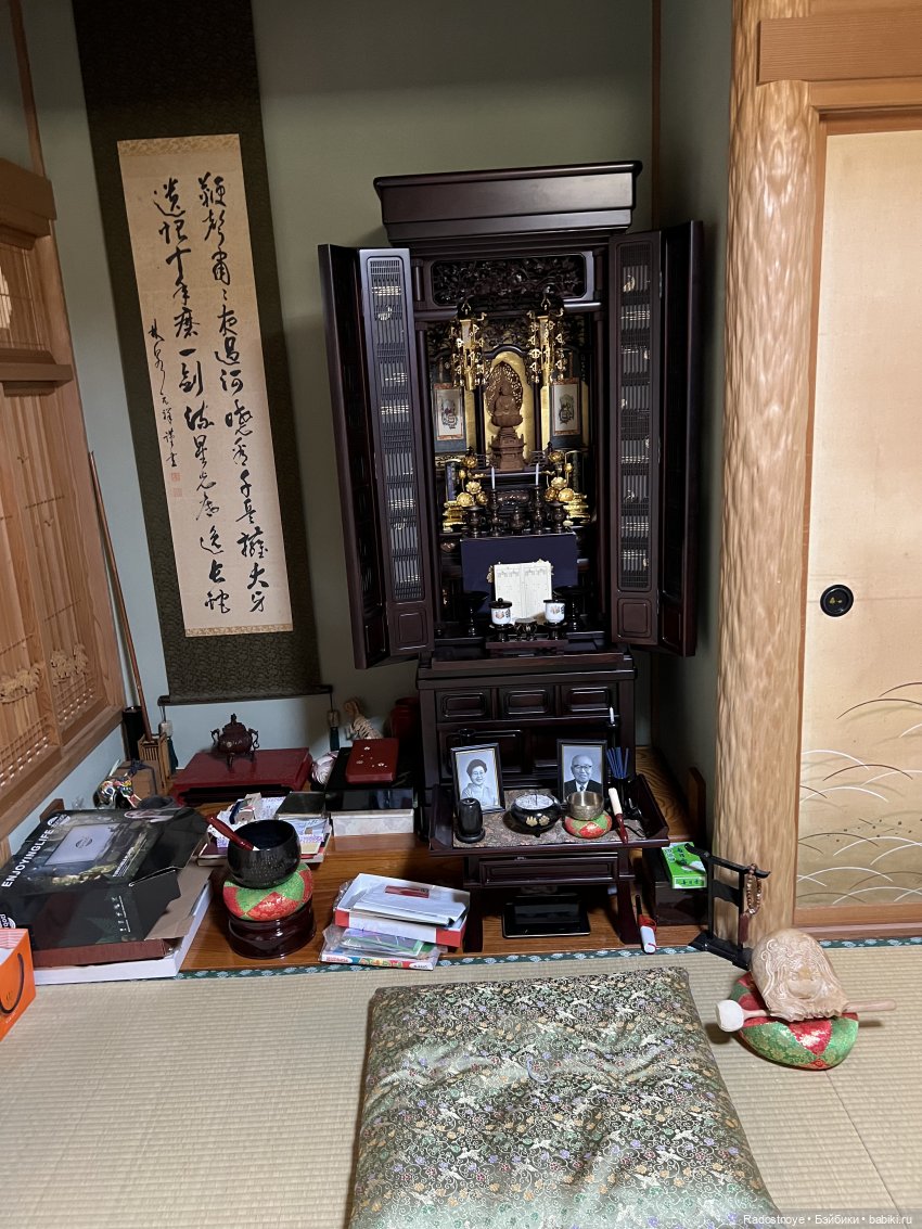 Удивительные открытия — Интересное и необычное: фотоподборки