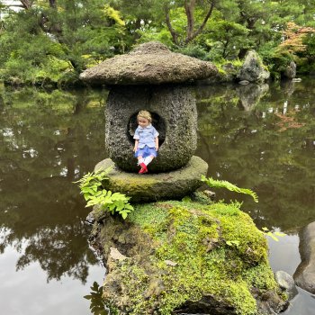 Изучение Японии изнутри