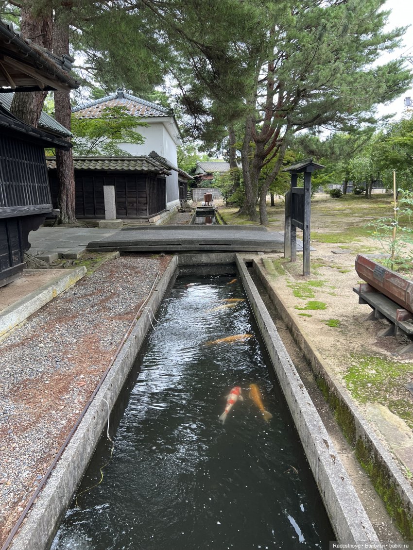 Отдых для души — Туризм и путешествия: фотоотчеты из поездок