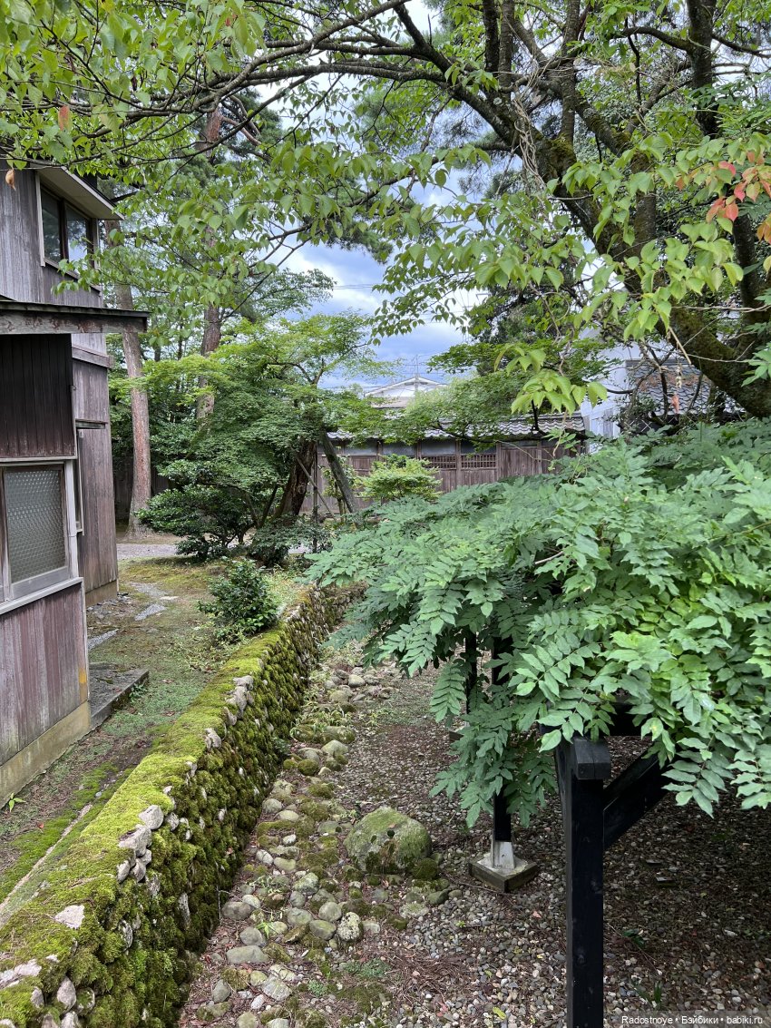 Отдых для души — Туризм и путешествия: фотоотчеты из поездок (фото 10)