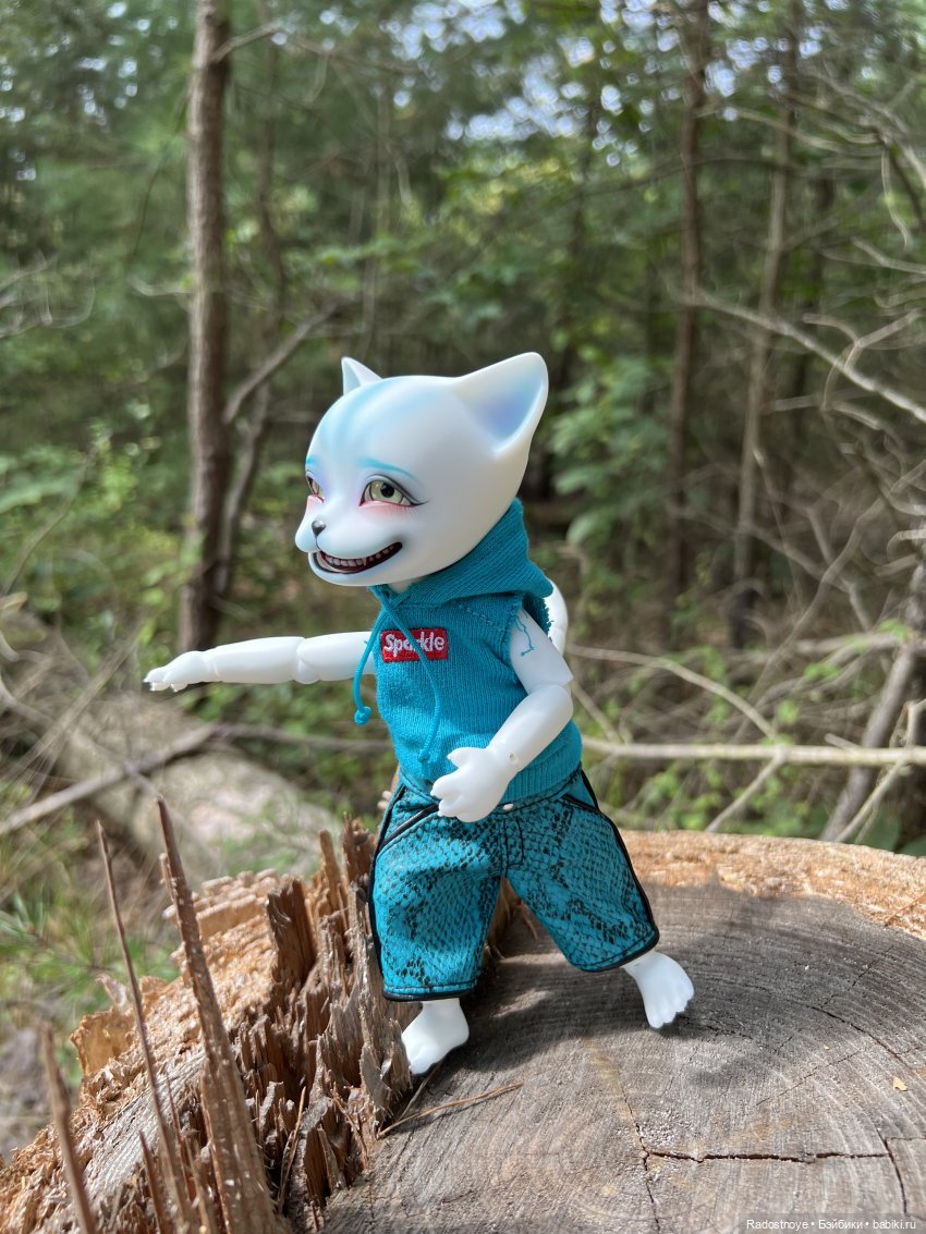 Мяу-мяу и Чешир — Куклы Pipos (Пипос): BJD (БЖД) (фото 5)
