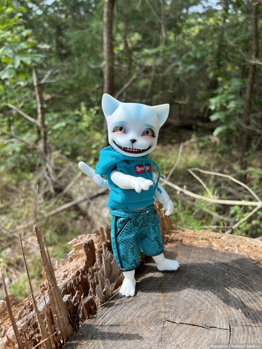 Мяу-мяу и Чешир — Куклы Pipos (Пипос): BJD (БЖД) (фото 3)