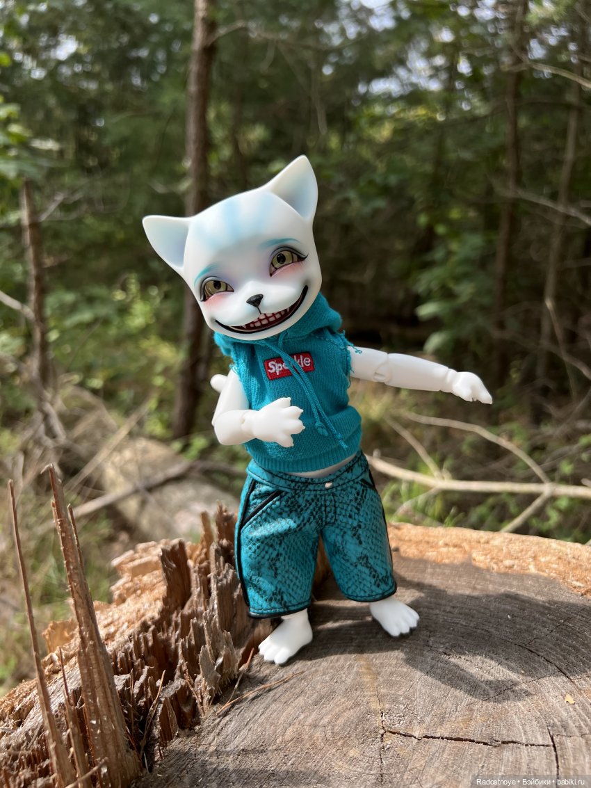 Мяу-мяу и Чешир — Куклы Pipos (Пипос): BJD (БЖД) (фото 6)