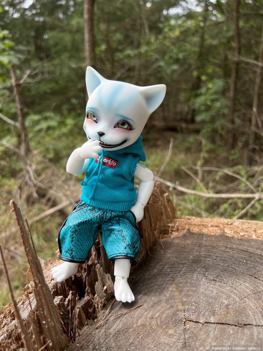 Мяу-мяу и Чешир — Куклы Pipos (Пипос): BJD (БЖД)