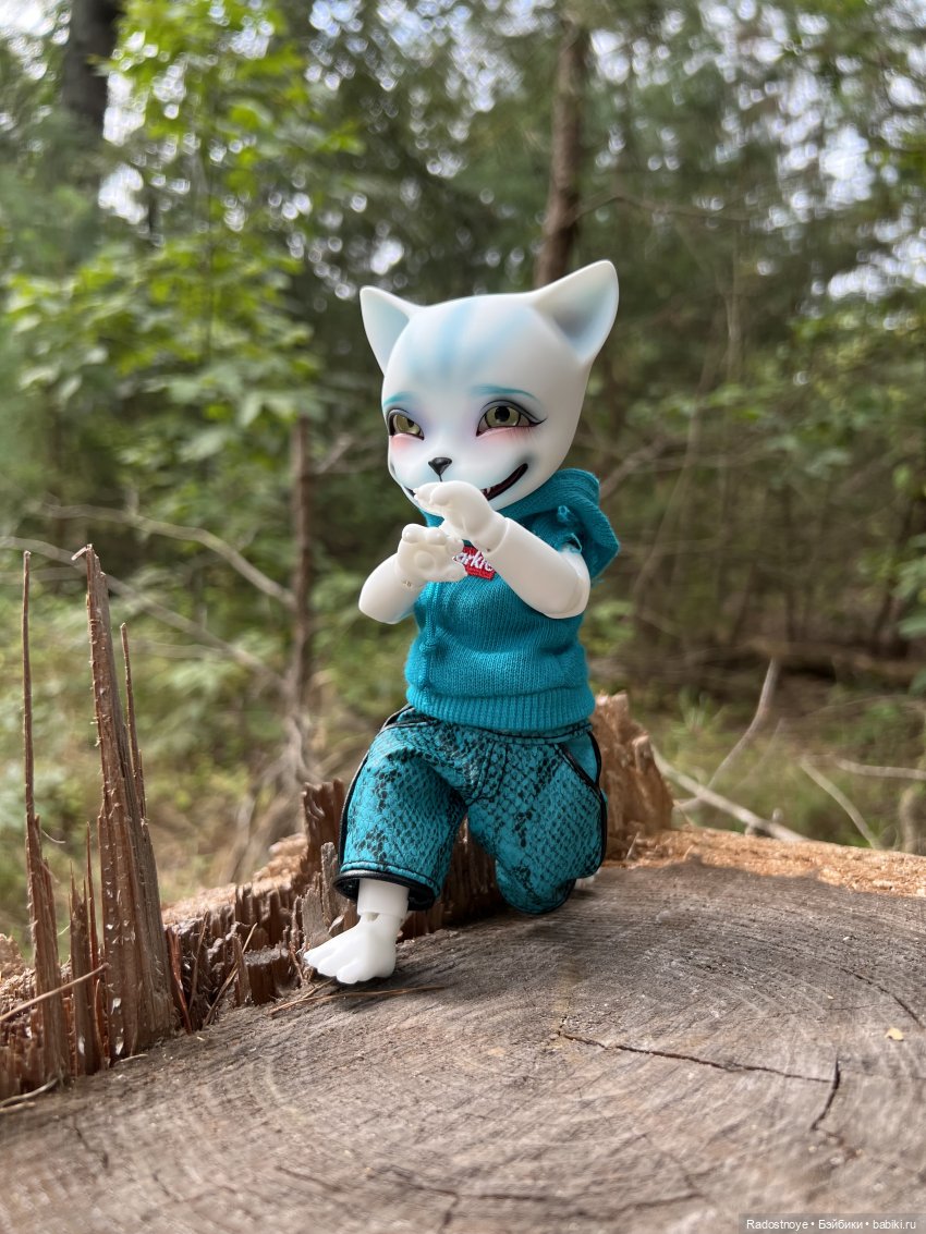 Мяу-мяу и Чешир — Куклы Pipos (Пипос): BJD (БЖД)