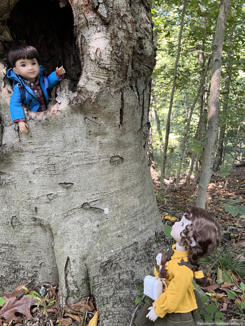 Корделия и Рассел - исследователи и путешественники | Бэйбики Корделия и Рассел - исследователи и путешественники