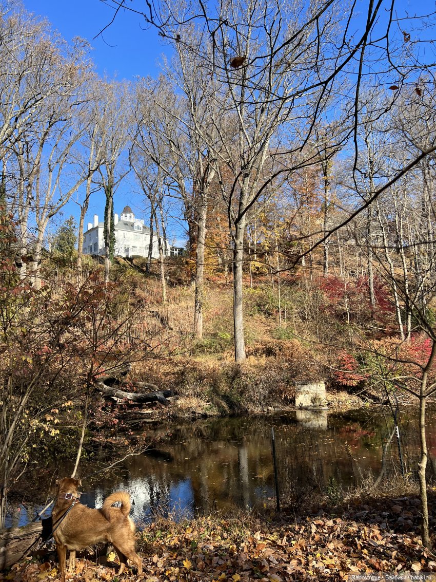 Две американские композитные куколки, выигранные в живом аукционе (фото 2)