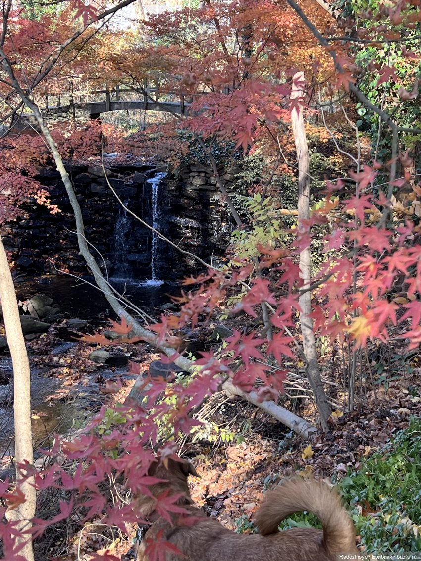 Две американские композитные куколки, выигранные в живом аукционе (фото 4)