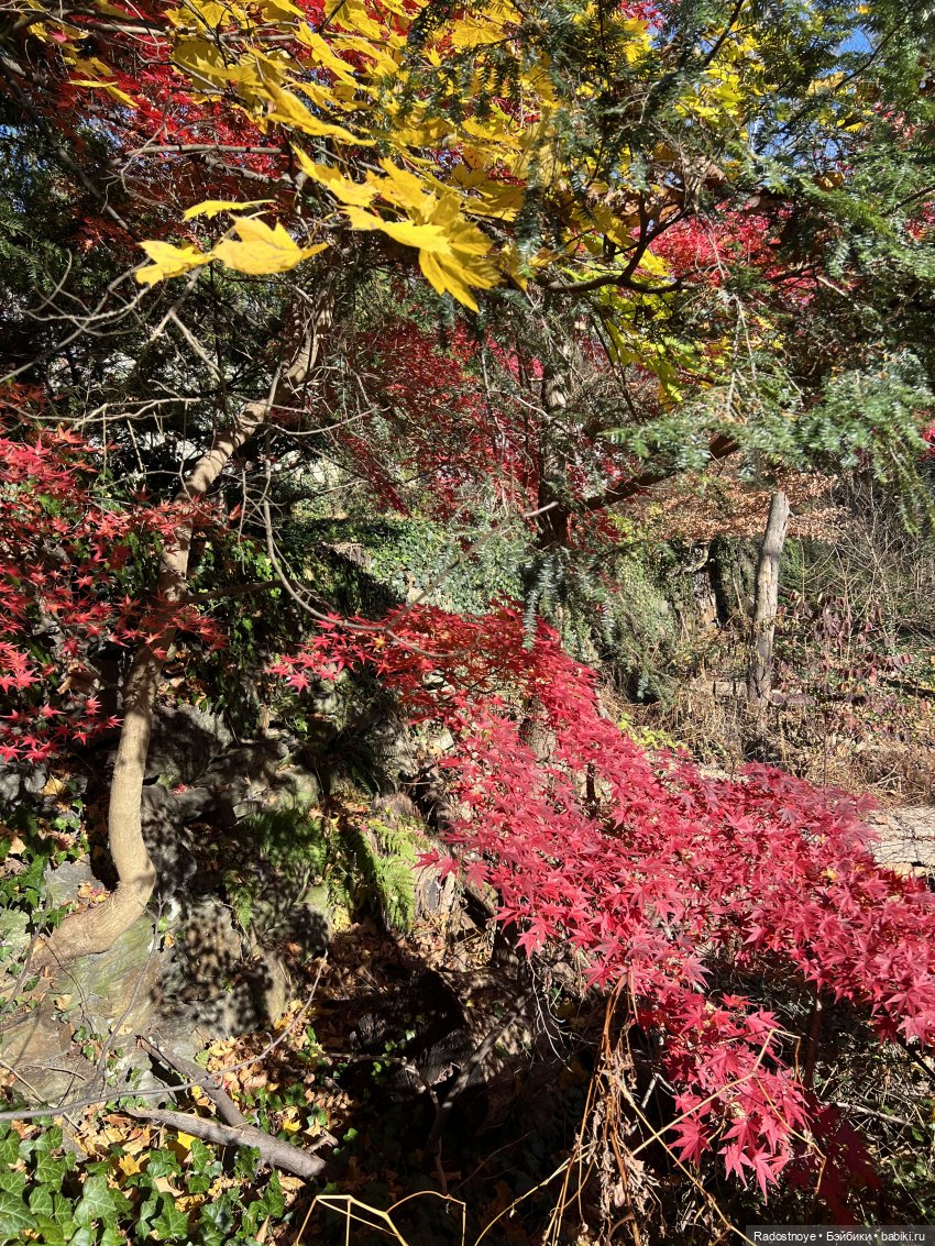 Две американские композитные куколки, выигранные в живом аукционе (фото 3)