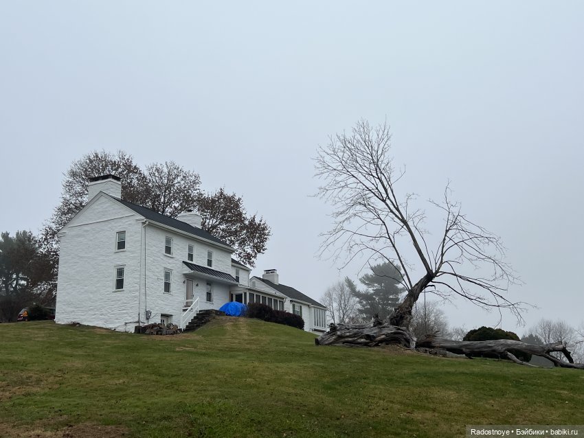 Фелиция и ее лама — Куклы Bratz (Братц) и Moxie Girlz: MGA (фото 2)