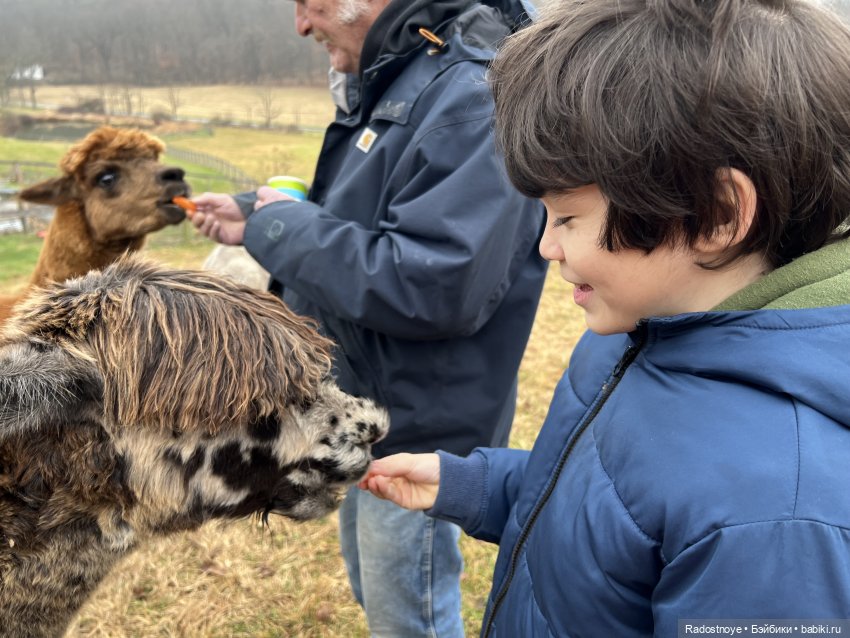 Фелиция и ее лама — Куклы Bratz (Братц) и Moxie Girlz: MGA