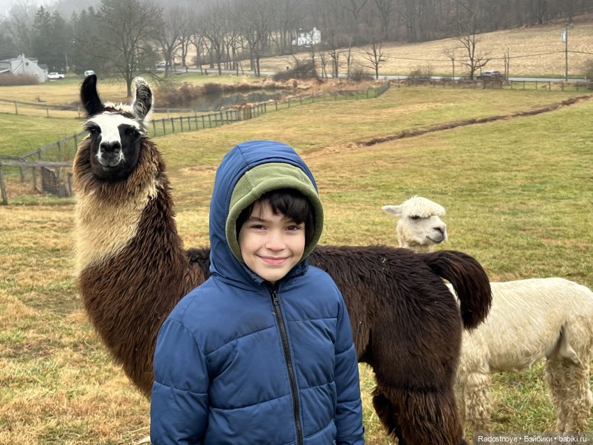 Фелиция и ее лама — Куклы Bratz (Братц) и Moxie Girlz: MGA (фото 8)