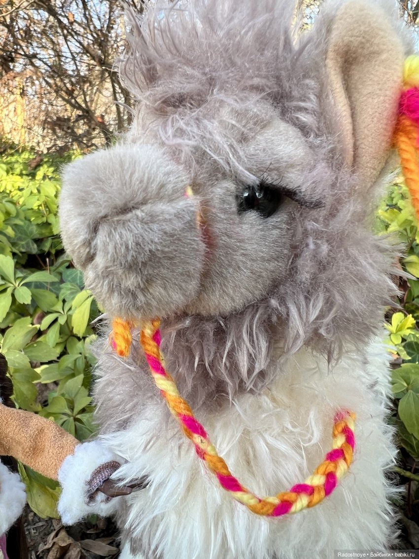 Фелиция и ее лама — Куклы Bratz (Братц) и Moxie Girlz: MGA