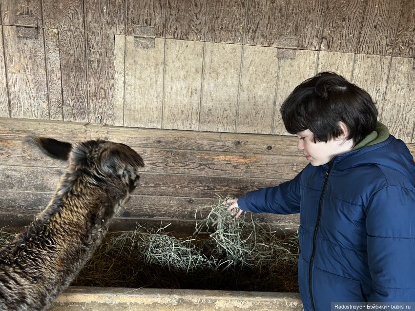 Фелиция и ее лама — Куклы Bratz (Братц) и Moxie Girlz: MGA