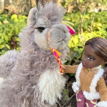 Фелиция и ее лама