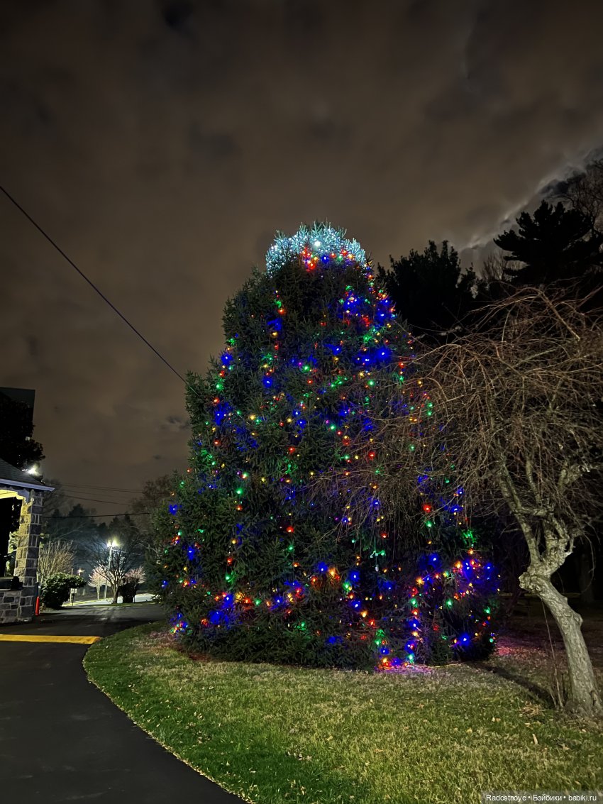 Рождественская прогулка Дженнифер и Скарлетт | Бэйбики Рождественская прогулка Дженнифер и Скарлетт