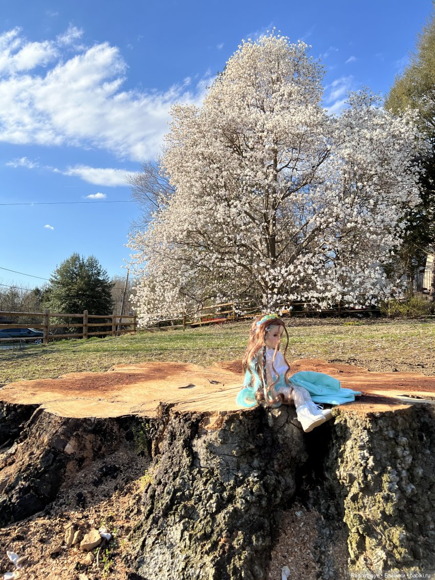 Элла и Волшебные Сады | Бэйбики Элла и Волшебные Сады — Куклы Ruby Red (Руби Ред) Fashion Friends: Siblies (фото 5)