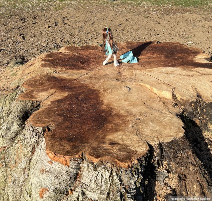Элла и Волшебные Сады | Бэйбики Элла и Волшебные Сады — Куклы Ruby Red (Руби Ред) Fashion Friends: Siblies (фото 6)