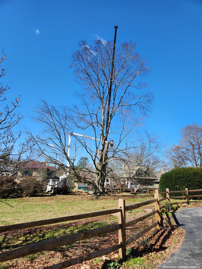 Элла и Волшебные Сады | Бэйбики Элла и Волшебные Сады — Куклы Ruby Red (Руби Ред) Fashion Friends: Siblies (фото 4)