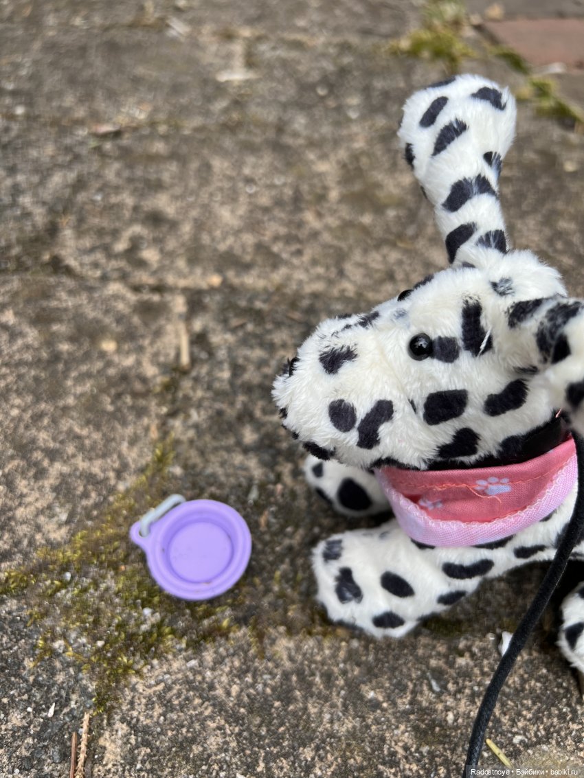 Мини каникулы - собачьи дни | Бэйбики Мини каникулы - собачьи дни