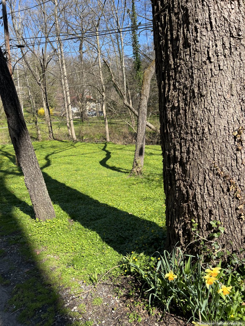 Мини каникулы - собачьи дни | Бэйбики Мини каникулы - собачьи дни (фото 2)