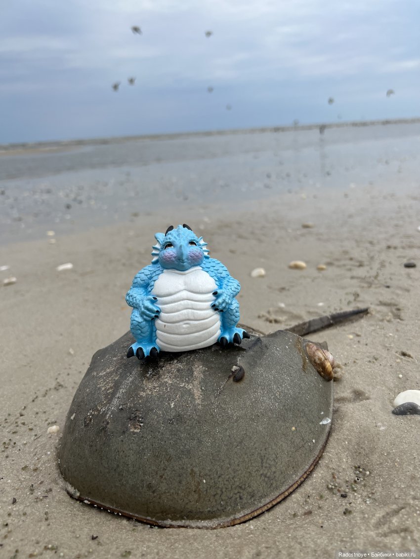 А что там в воде — Куклы Paola Reina (Паола Рейна): новинки