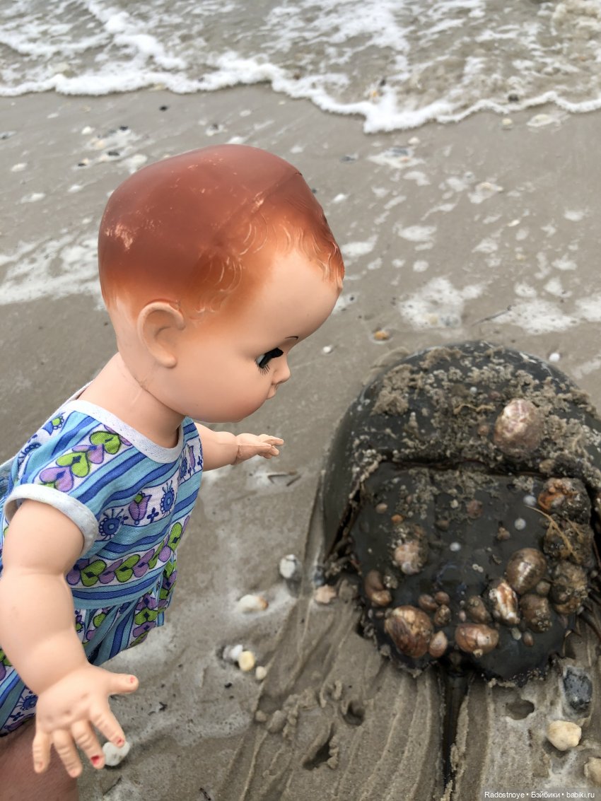 А что там в воде — Куклы Paola Reina (Паола Рейна): новинки