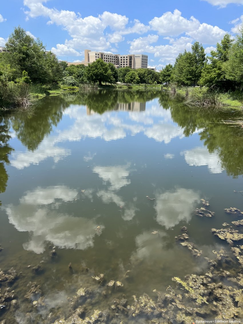 Третий день - награды, банкет | Бэйбики Третий день - награды, банкет (фото 2)