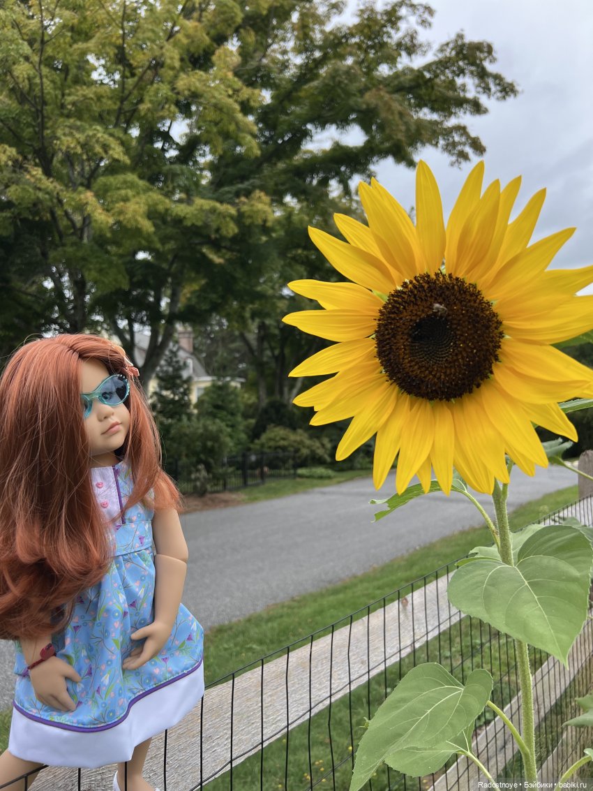 Как Эдда мне помогала фиги доить