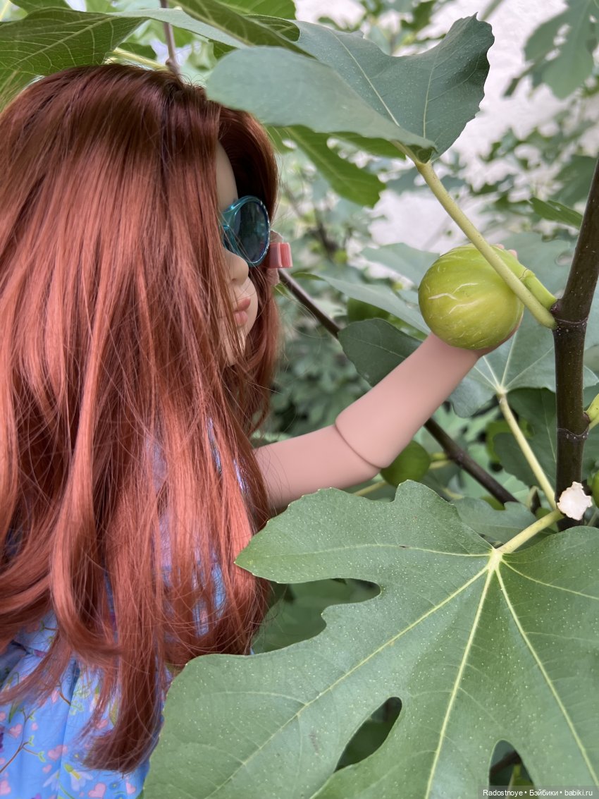 Как Эдда мне помогала фиги доить