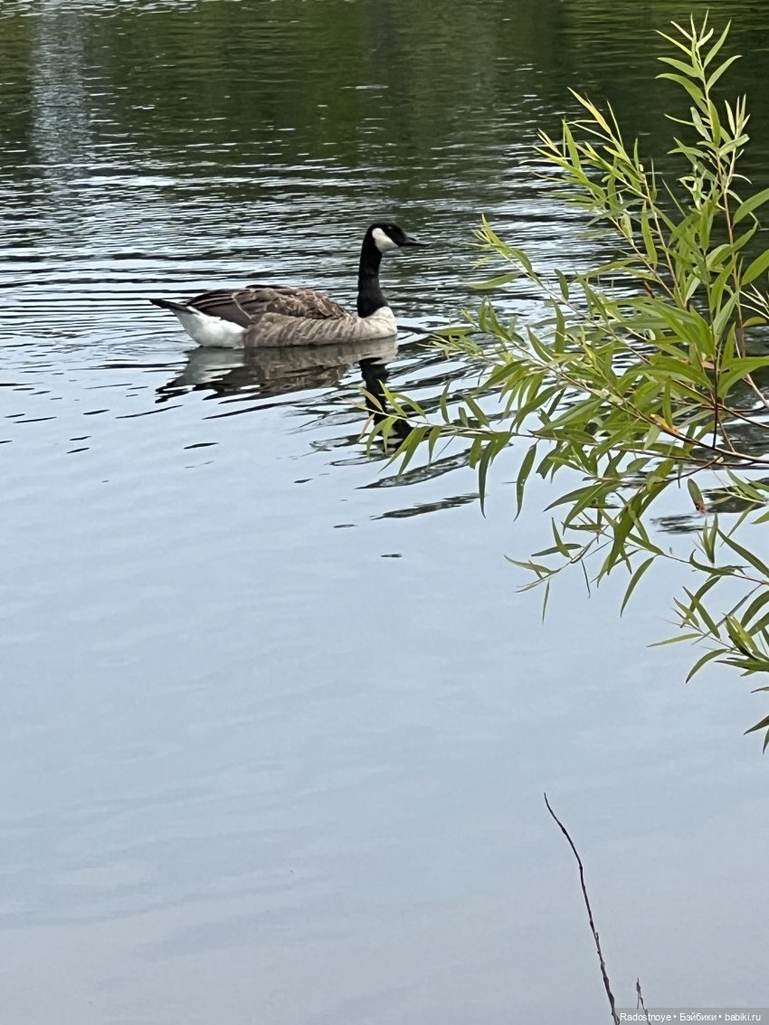 Раскрасим этот серый мир — Разные шарнирные куклы (не БЖД): редкие