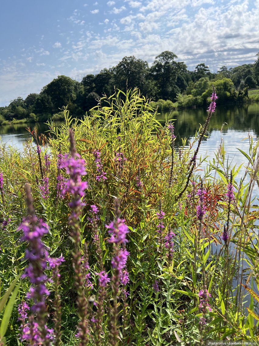 Раскрасим этот серый мир — Разные шарнирные куклы (не БЖД): редкие