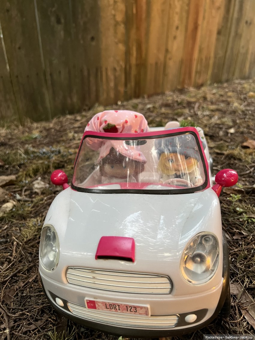 Раскрасим этот серый мир — Разные шарнирные куклы (не БЖД): редкие