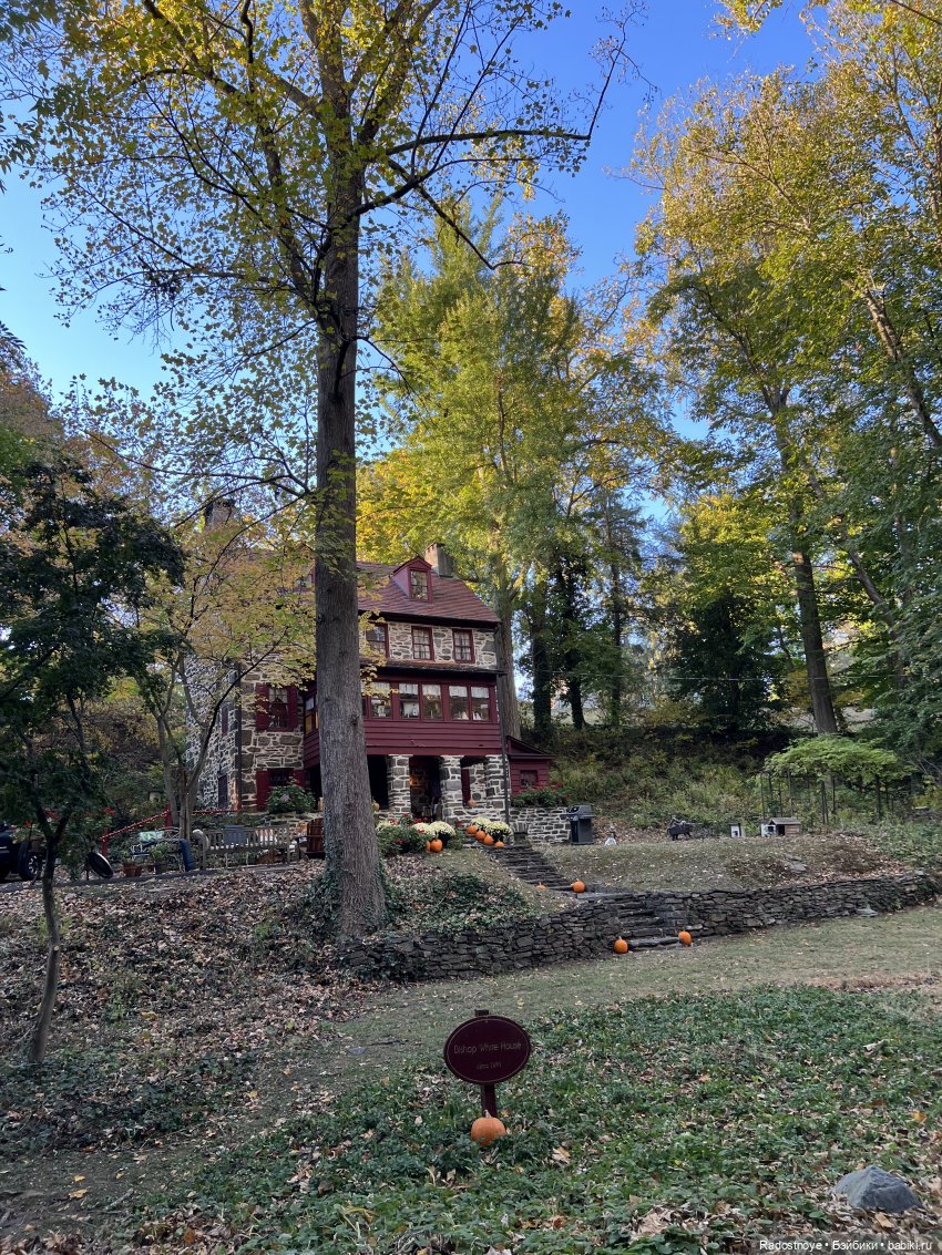 Викторианские уикенды - часть 3 из 3 (фото 10)