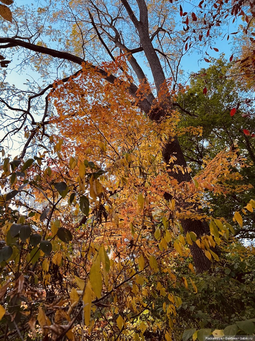 Викторианские уикенды - часть 3 из 3