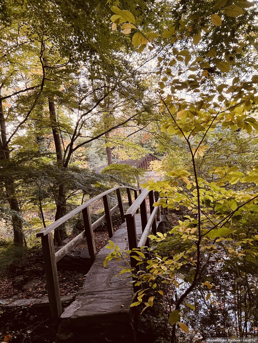 Викторианские уикенды - часть 3 из 3