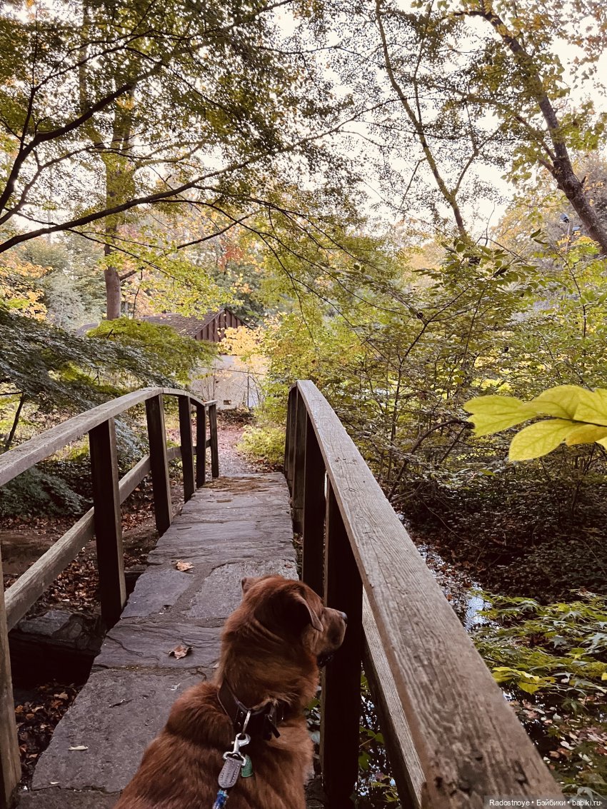 Викторианские уикенды - часть 3 из 3