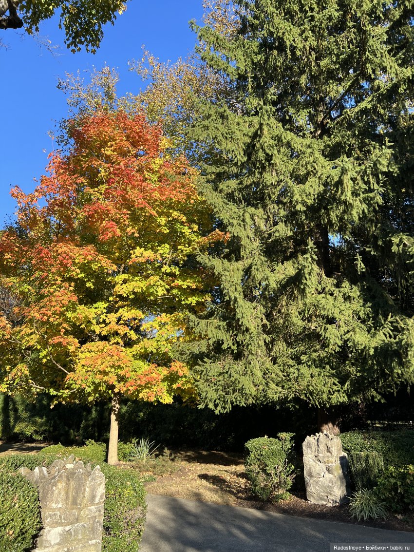 Викторианские уикенды - часть 3 из 3 (фото 3)