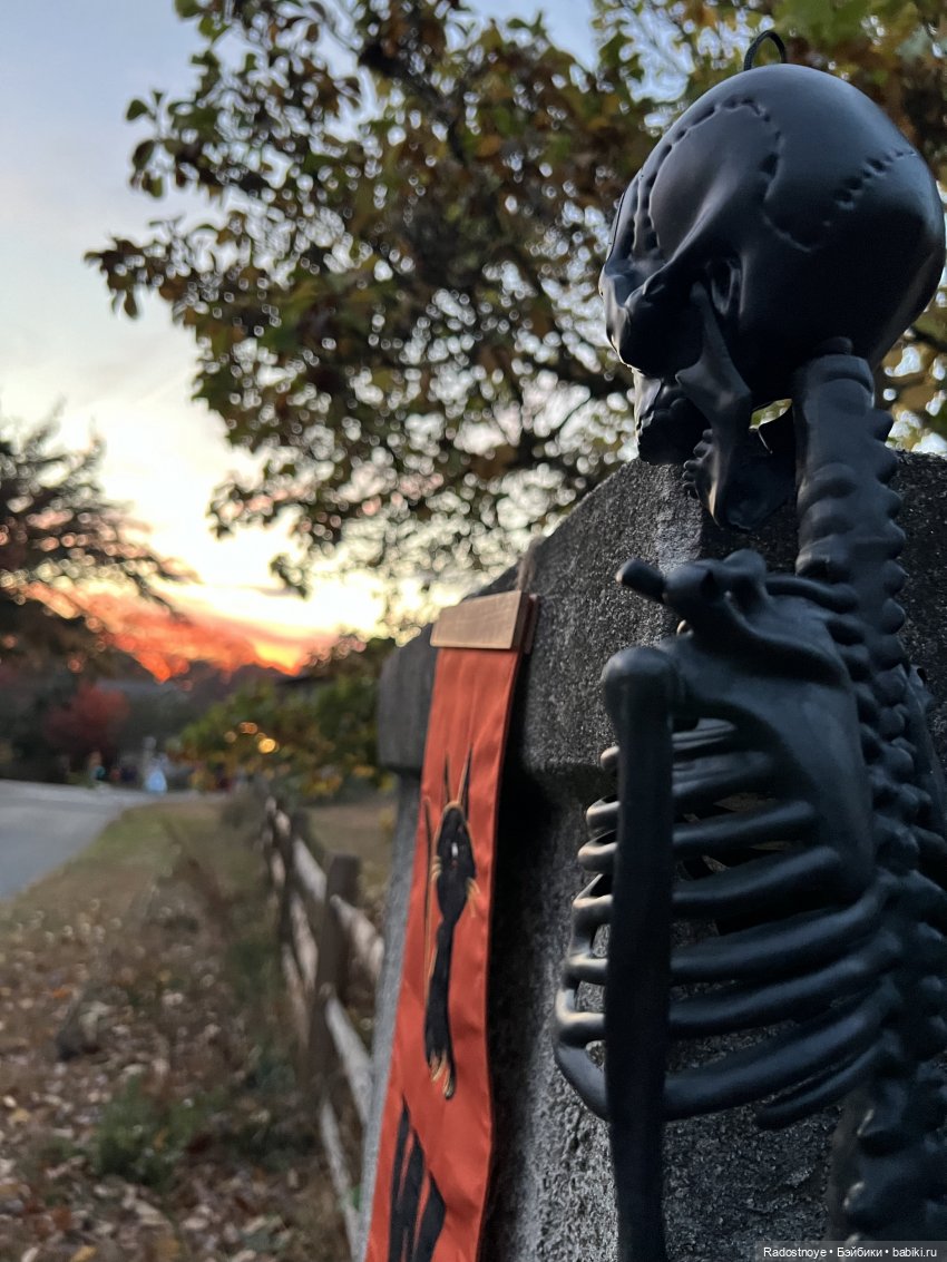 Праздник творчества и веселья