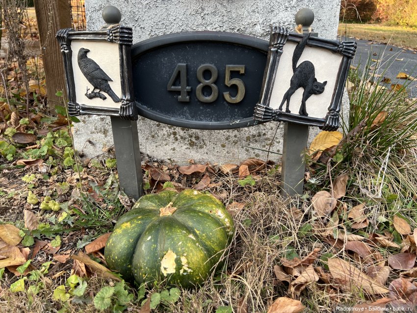 Праздник творчества и веселья (фото 6)